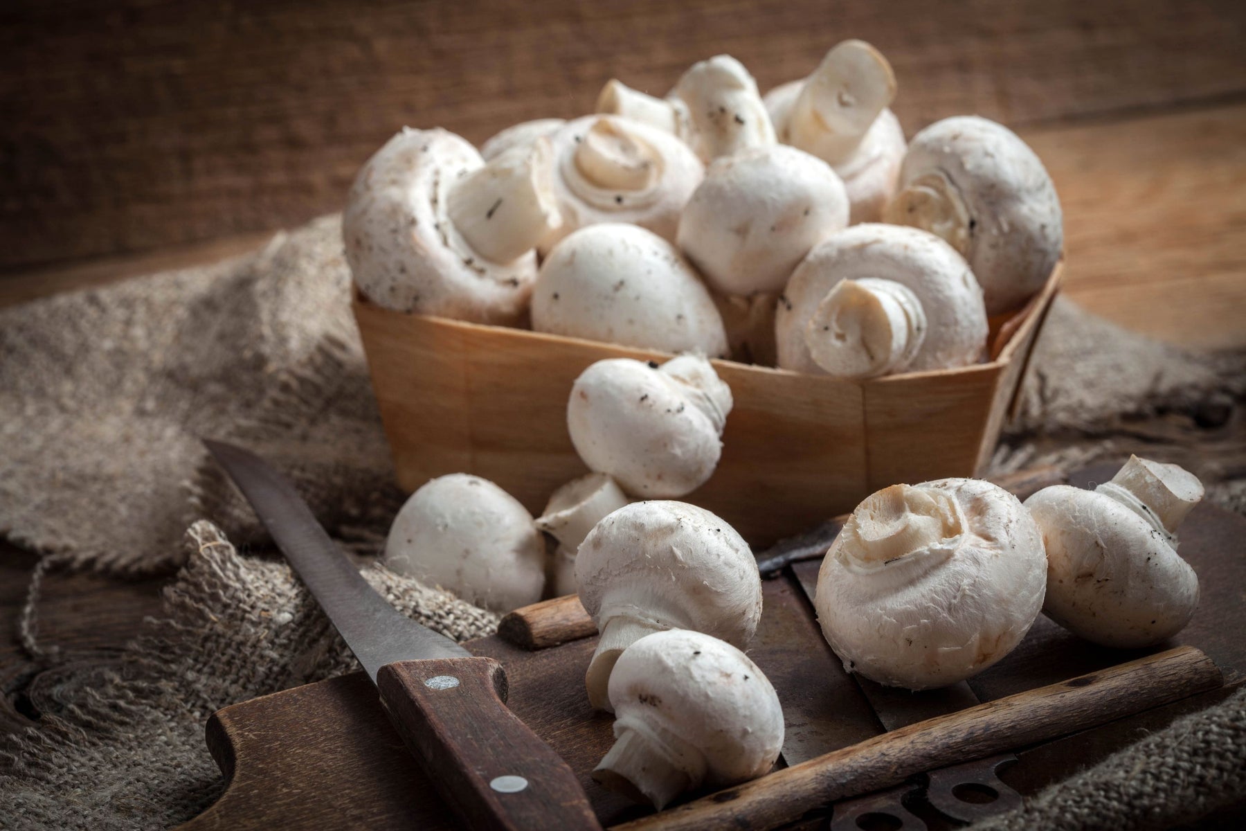 Button Mushrooms on Your Plate, Health on Your Side