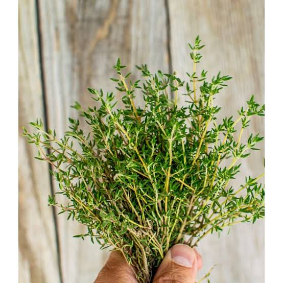 Thyme (40g)