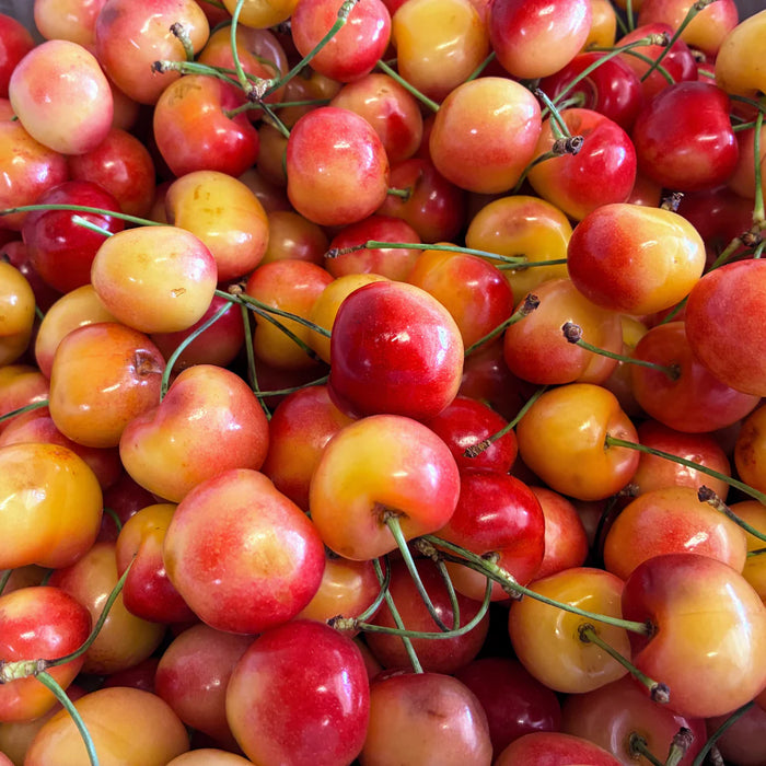 Rainier cherries 500g- pre-bookings (Baltistan)