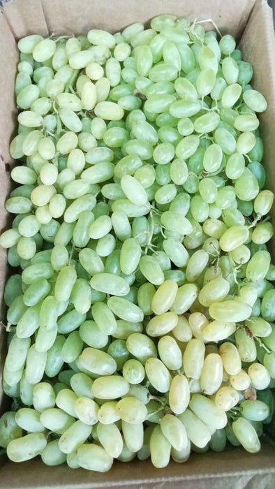 Sundarkhani grapes 500g