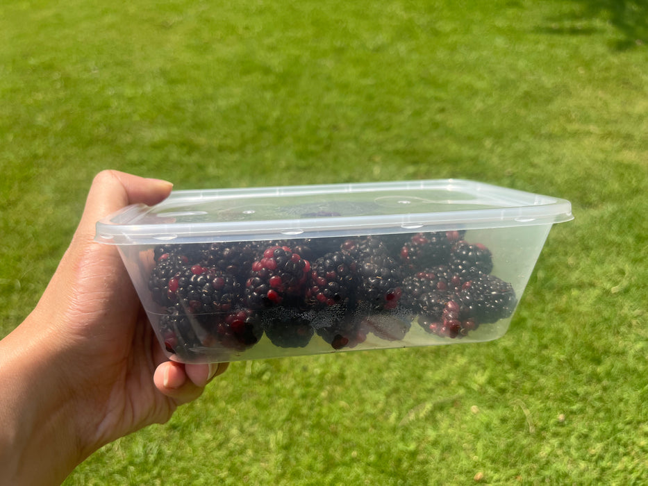 Blackberries 250g (Pre-booking)