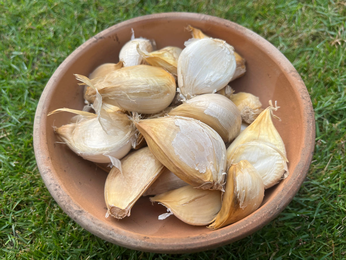 G1 Garlic (250g) — The Farmette