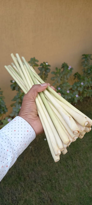 Lemon Grass 250g