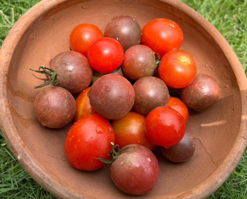 Mixed Cherry Tomatoes 200g
