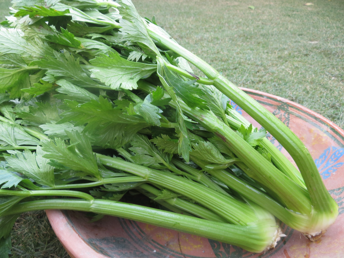 Celery 500g