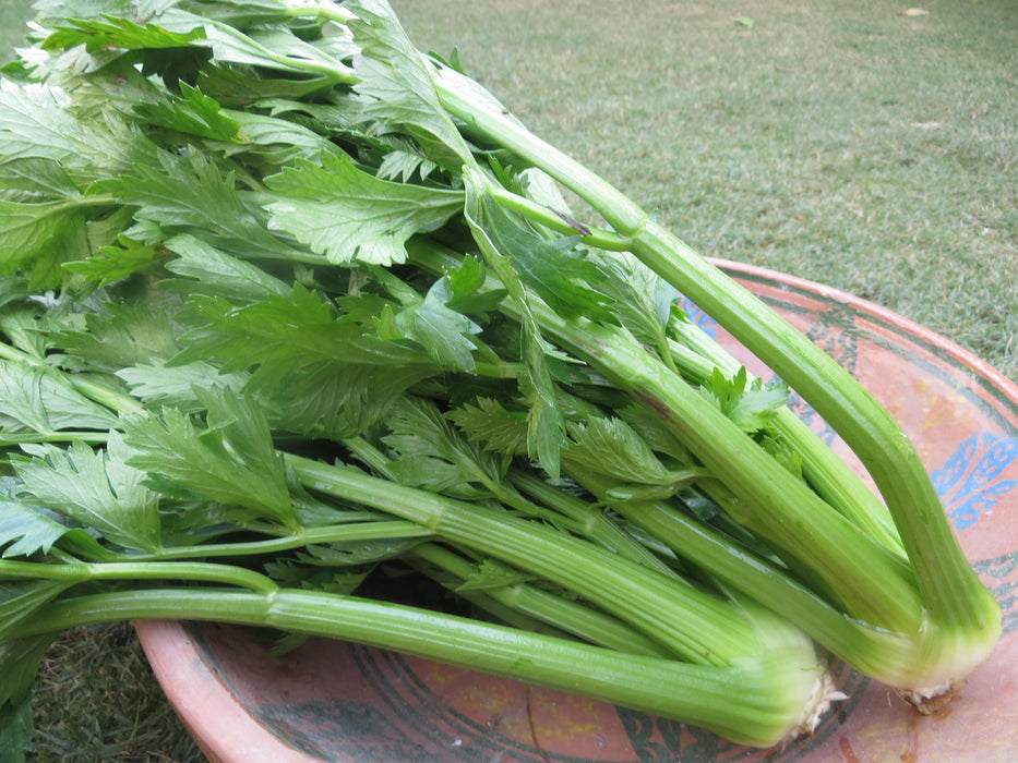 Celery (500g)