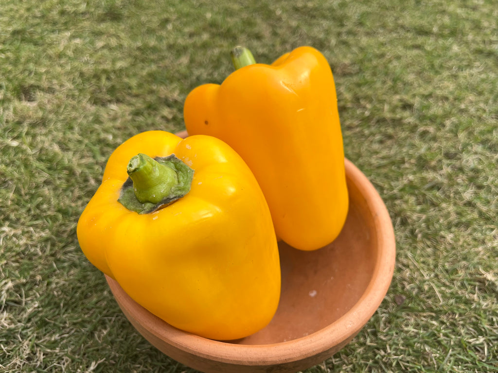 Fresh Vegetables Online Buy Vegetables Organic Vegetables