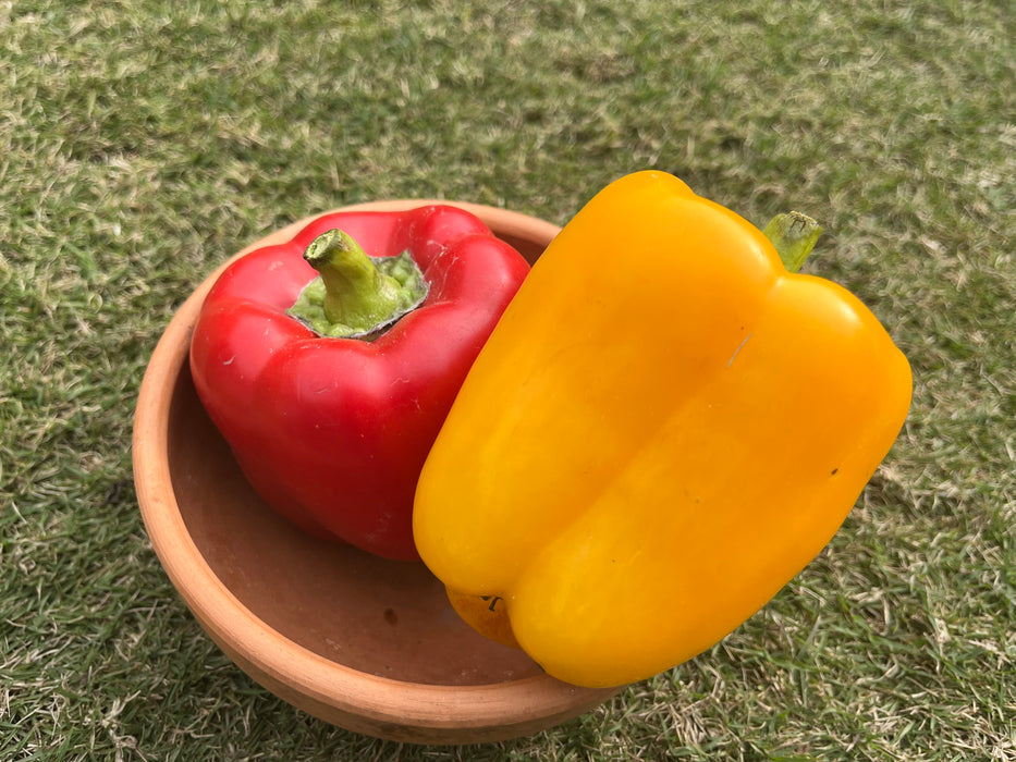 Bell Peppers (Red, Yellow & Multi Colour) 500g