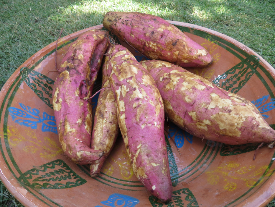 Sweet potatoes (kg)