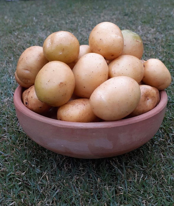 Baby potatoes (kg)