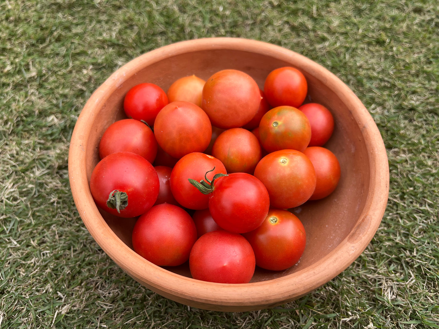 Fresh Vegetables Online Buy Vegetables Organic Vegetables