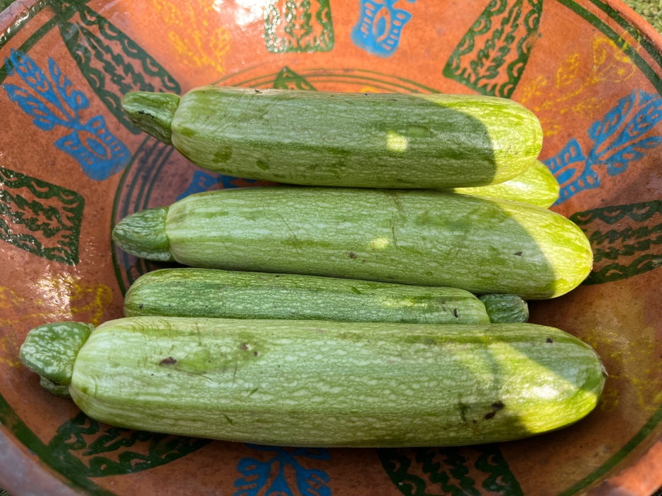 Zucchini (maroo) kg