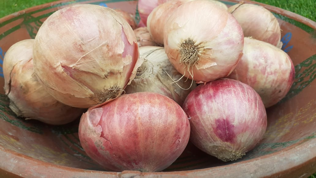 Onions (kg)