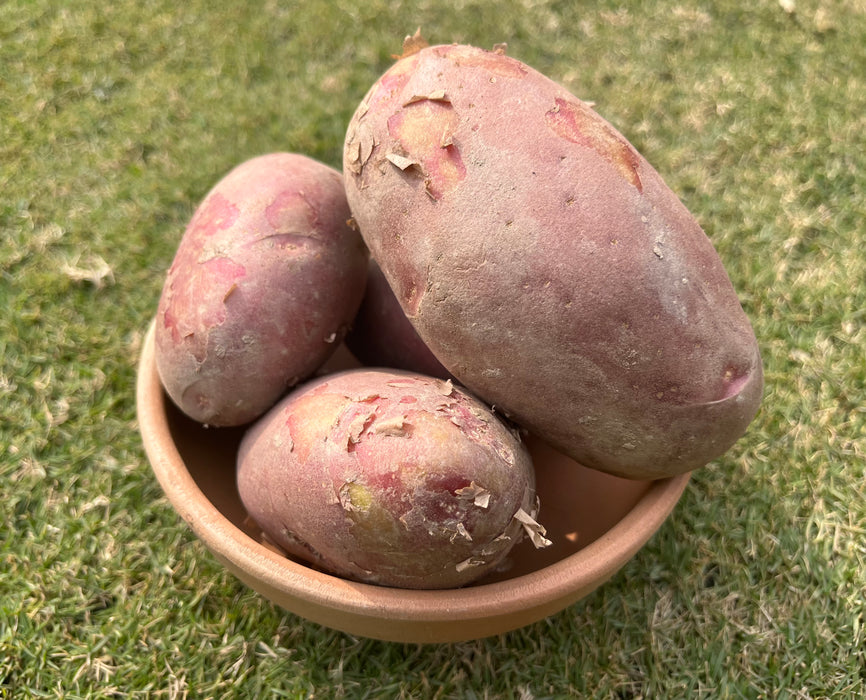 Potatoes (kg)