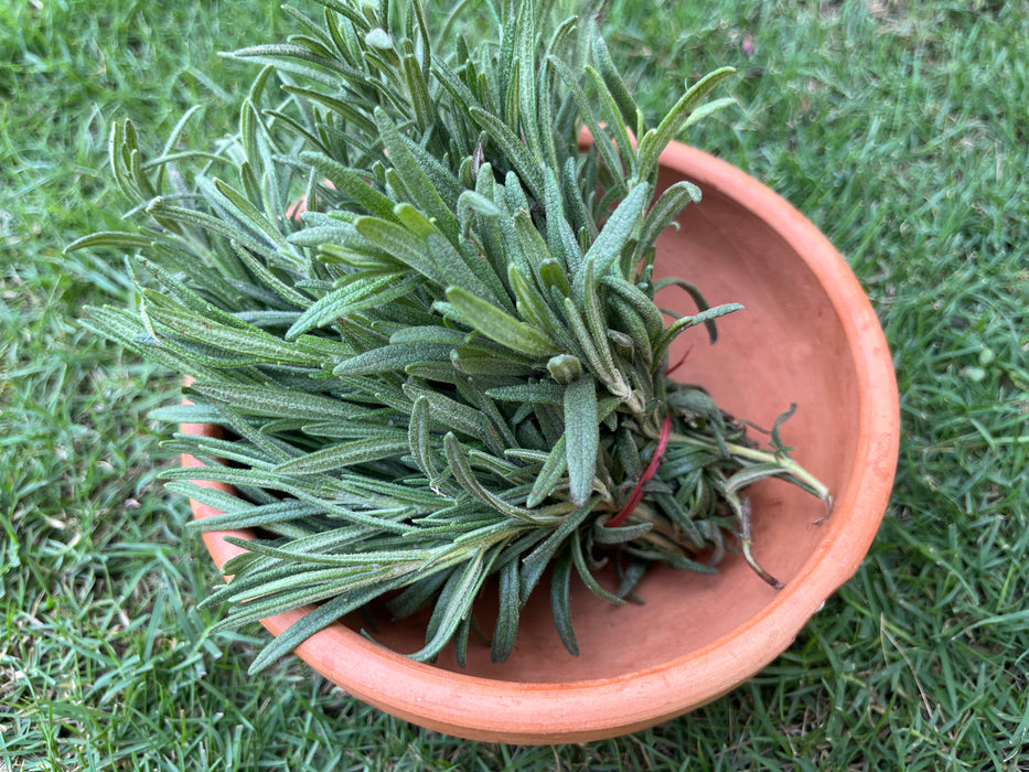 Fresh Rosemary 40g