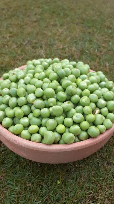 Peeled peas (500g)