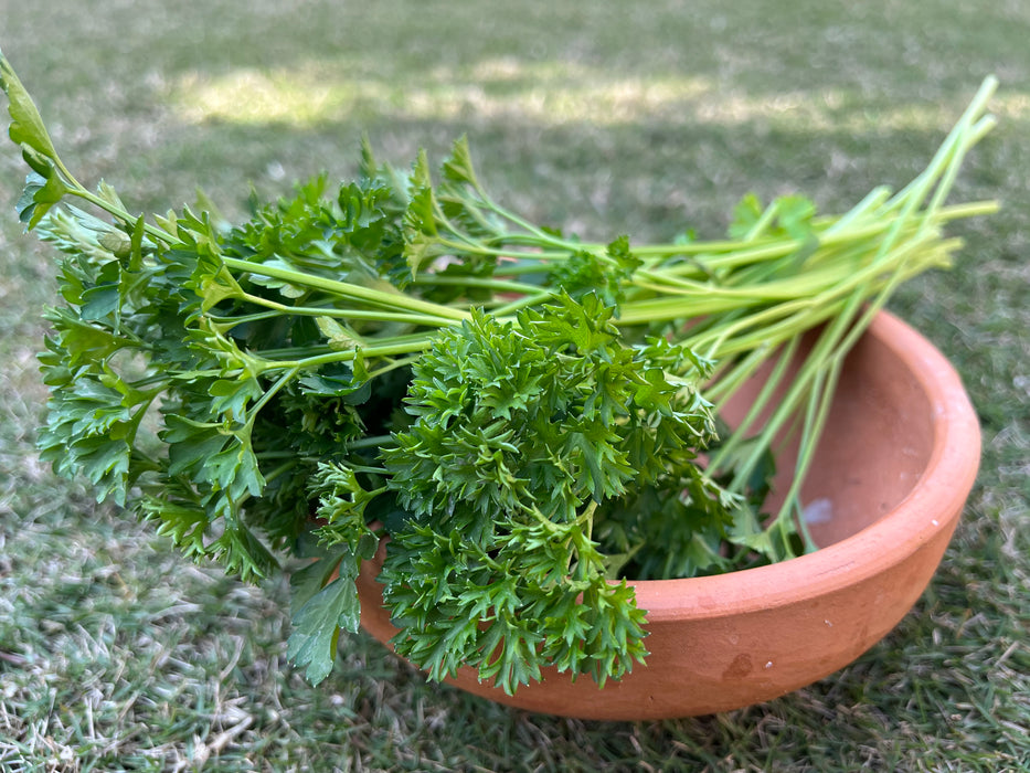 Fresh Curly parsley (80g)