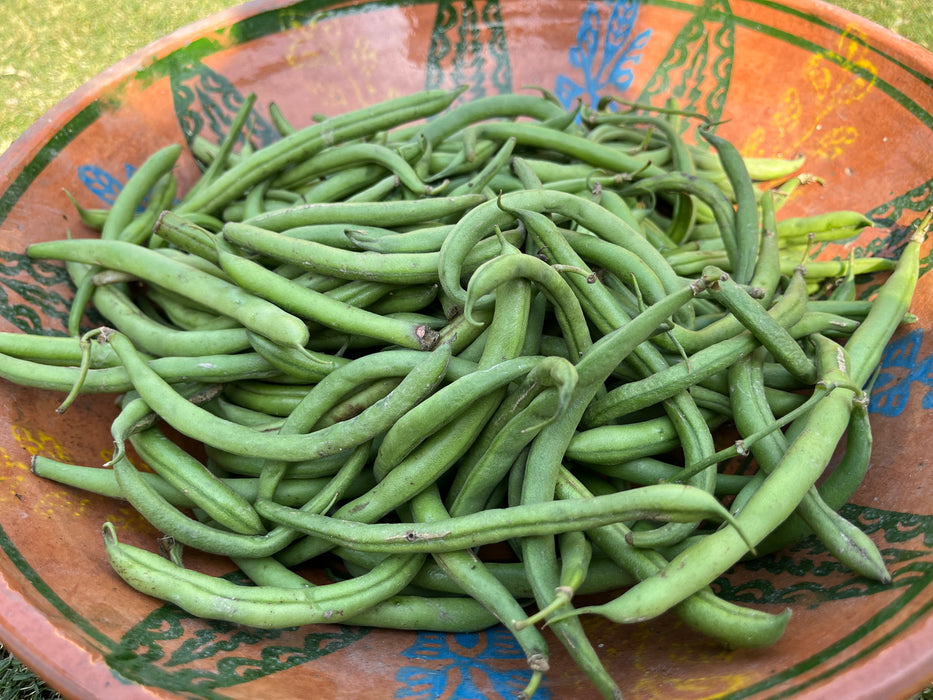 French Beans (500g)
