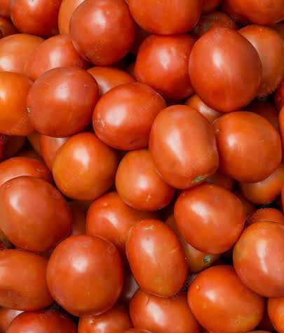 Tomatoes kg